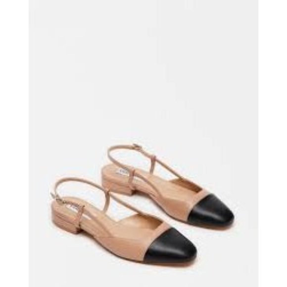 Steve Madden | Shoes | Steve Madden Belinda Sling Back In